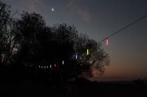 Welkom-liggies-en-maan-Ingwenya-tours    