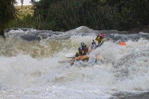Safe rafting with Ingwenya tours  