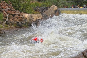web-IMG_9807    