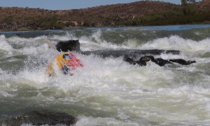 Emerging from hole at Hellsgate Orange River    