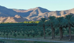 Orange river rafting-Klein-Pella   