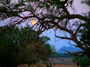 Full moon at Klein Pella          