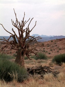 On route Orange River rafting        